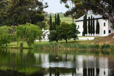 30-Hamilton-Russell-Vineyards-Tasting-Room-and-Cellar-viewed-from-the-pine-forest-Braemar-House-in-the-background